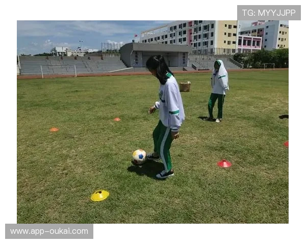 浩瀚体育助力体育爱好者深入了解各类体育运动的规则与技巧